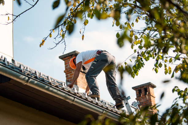 Best Rubber Roofing (EPDM, TPO)  in Glasgow, VA